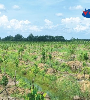 BÉC TƯỚI VINDRIP VD8-MINI - 60